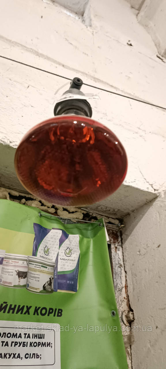 Лампа інфрачервона з червоним цокольом 175 ват, фото 1