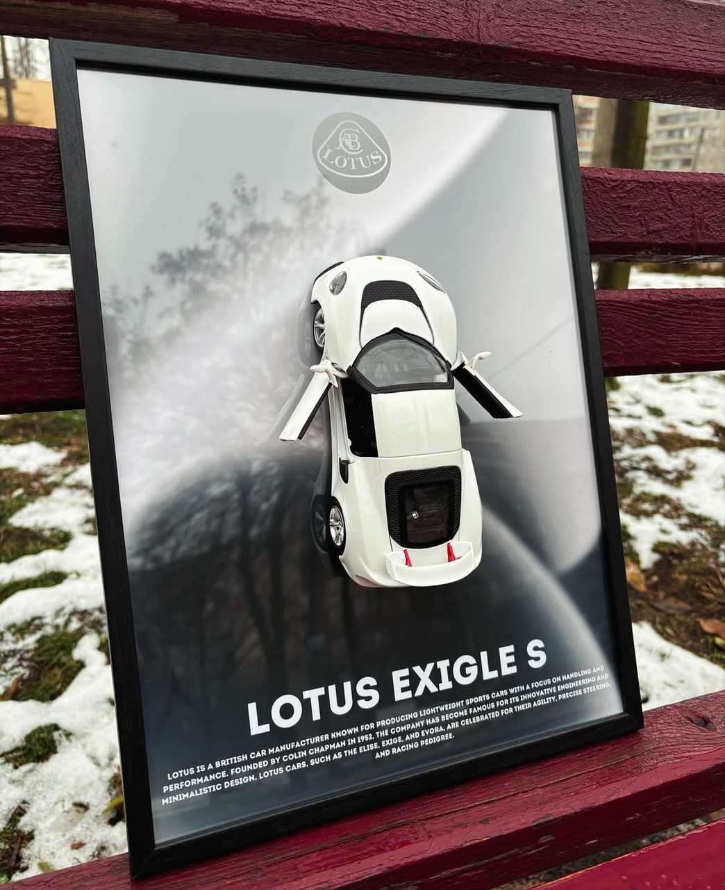 Картина авто Lotus Exige s 30х40 см