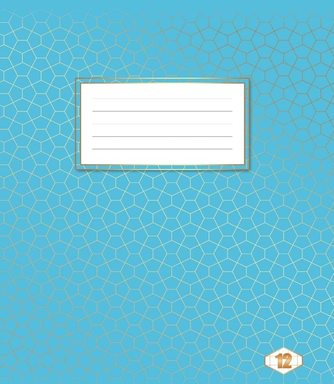 Зошит 12 арк клiтинка "Фоновий  Шкільний" 25 шт. в уп. /700/ Тетрада, фото 1