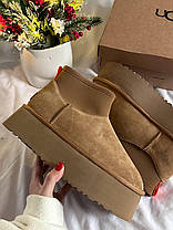 Зимові Жіночі Черевики UGG Classic Mini Dipper Chestnut Brown / УГГ Класик Міні Діпер Чеснат Коричневі, фото 3