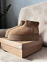 Зимові Жіночі Черевики UGG Classic Mini Dipper Chestnut Brown / УГГ Класик Міні Діпер Чеснат Коричневі, фото 6
