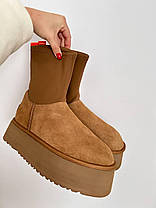 Зимові Жіночі Черевики UGG Classic Dipper Boot Chestnut Brown / УГГ Класик Діпер Бут Чеснат Коричневі, фото 5