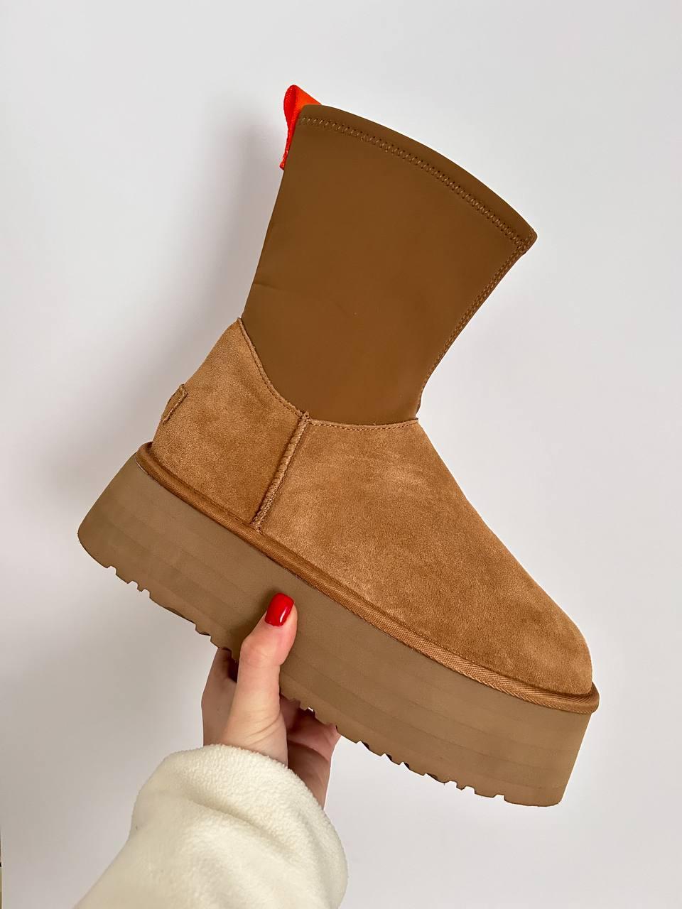 Зимові Жіночі Черевики UGG Classic Dipper Boot Chestnut Brown / УГГ Класик Діпер Бут Чеснат Коричневі