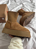 Зимові Жіночі Черевики UGG Classic Dipper Boot Chestnut Brown / УГГ Класик Діпер Бут Чеснат Коричневі, фото 4