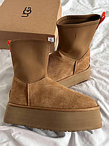 Зимові Жіночі Черевики UGG Classic Dipper Boot Chestnut Brown / УГГ Класик Діпер Бут Чеснат Коричневі, фото 3