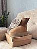 Зимові Жіночі Черевики UGG Classic Dipper Boot Chestnut Brown / УГГ Класик Діпер Бут Чеснат Коричневі, фото 7