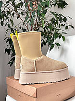Зимові Жіночі Черевики UGG Classic Dipper Boot Sand Beige / УГГ Класик Діпер Бут Сенд Бежеві, фото 5