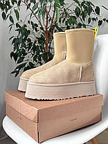 Зимові Жіночі Черевики UGG Classic Dipper Boot Sand Beige / УГГ Класик Діпер Бут Сенд Бежеві, фото 6