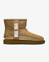 Зимові Жіночі Черевики UGG Classic Clear Mini Light Brown / УГГ Класик Клір Міні Світло Коричневі, фото 4