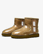 Зимові Жіночі Черевики UGG Classic Clear Mini Light Brown / УГГ Класик Клір Міні Світло Коричневі, фото 6