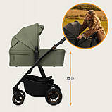 Універсальна коляска 2 в 1 Lionelo AMBER PLUS GREEN FOREST, фото 4
