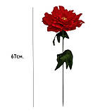 Гілка півонії, 66см, фото 2