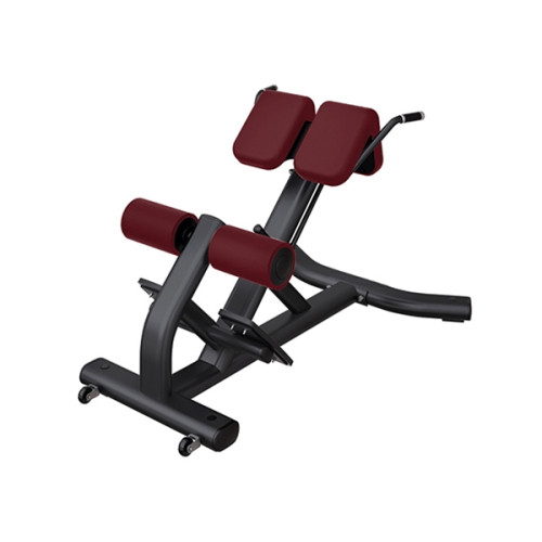 Розгинання спини Iron Impulse Back Extension RT.L49