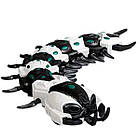 Сороконіжка радіокерована з парою 128 А-41 Чорно-біла, фото 4