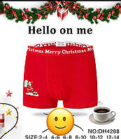 Труси чоловічі з новорічним принтом, хлопок, в розмірі М/ХХЛ