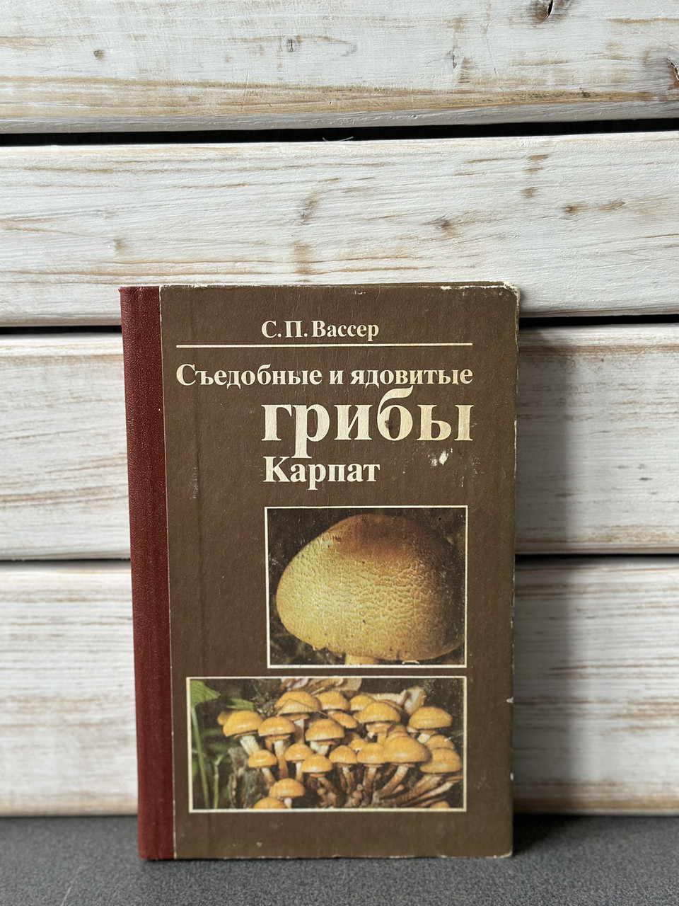 Вассер С.П. "Їстівні та отруйні гриби Карпат"