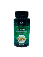 ПРАНА - хвороби ШКТ, серцево-судинні захворювання, запальні процеси, інтоксикація