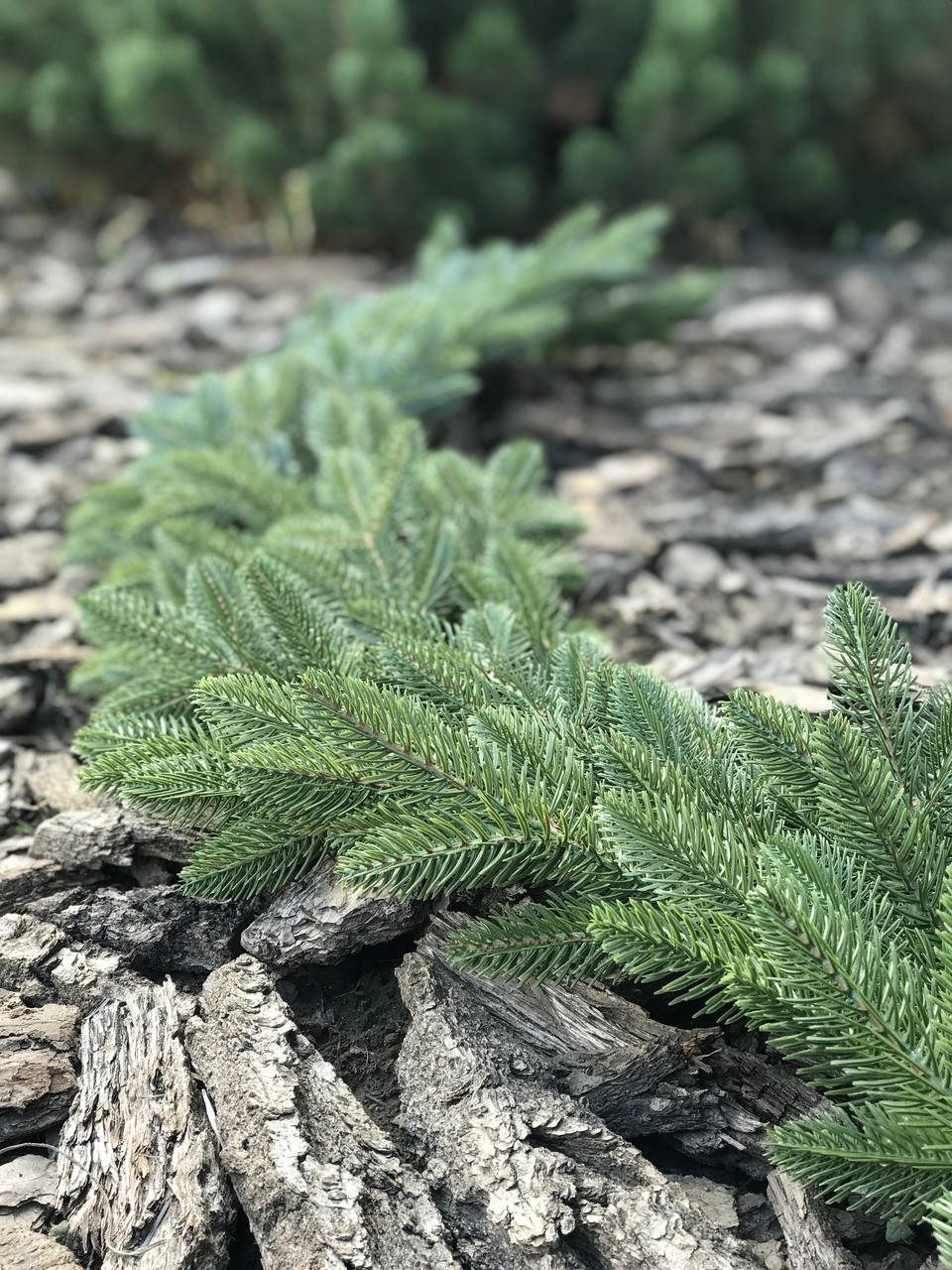 Гірлянда хвойна Classic лита 2 м світло-зелена