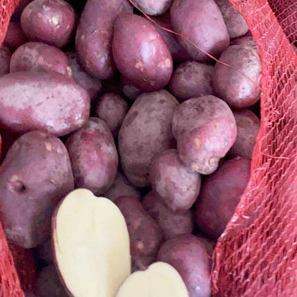 Насіннєва картопля Есмі, 50-60 днів 2 репродукція, фото 1
