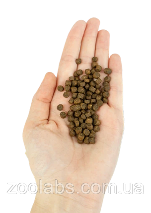 Корм Lenda для кошенят з домашньої птиці та риби | Lenda Kitten Poultry & Fish Grain Free 2 кг, фото 3