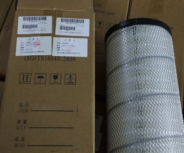 Фільтруючий елемент захистний YTO 4M3LP-T4-210402 Вторинний Малий  P780523