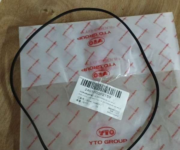 Внутрішнє ущільнення гальмівного поршня 1.65.330/5105538-252.6*3. 240100002159