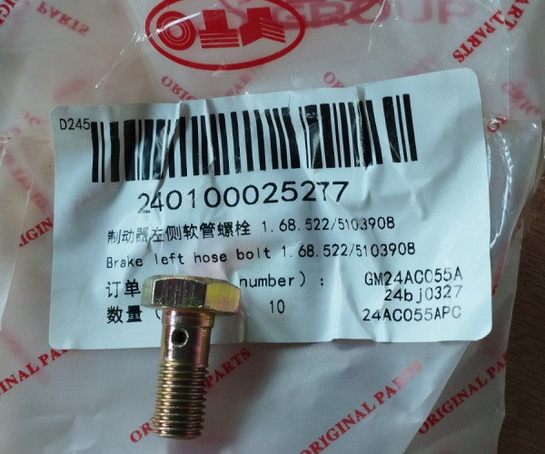 Порожнистий болт 1.68.522/5103908 240100025277