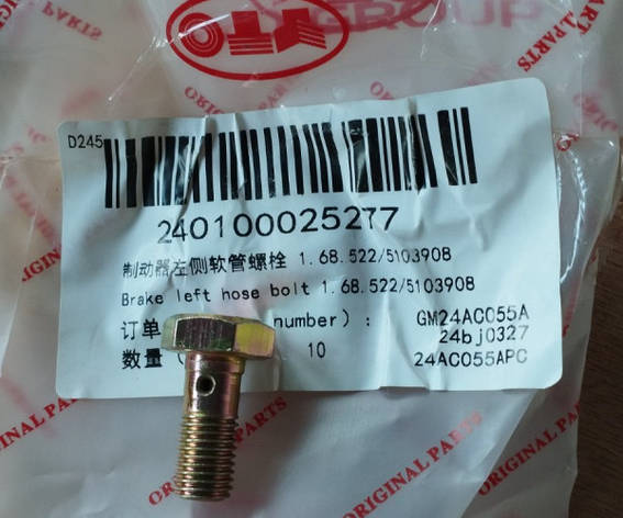 Порожнистий болт 1.68.522/5103908 240100025277, фото 1