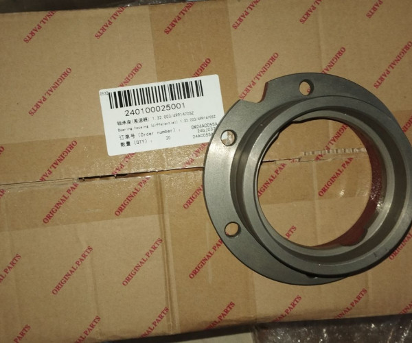 Права опора диференціала 1.32.003/4991470SZ 240100025001