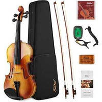 Скрипка Donner Music Eastar EVA-330 44 Solid Wood Violin Set With Two Bow EB 0217