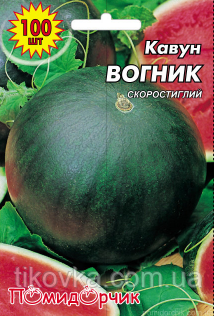 Насіння кавуна сорт Вогник Ранньостиглий 100 шт