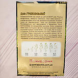 Насіння кропу Грибовський, фото 2