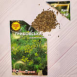 Насіння кропу Грибовський, фото 3