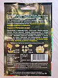 Насіння кропу сорт Грибовський Ранньостиглий 3 г НК Еліт, фото 3