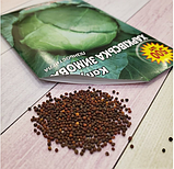 Насіння капусти білокачанної Харківська зимова, фото 6