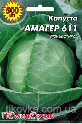Насіння капусти білокочанної Амагер 611, фото 1