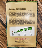 Насіння капусти білокачанної Білосніжка, фото 4