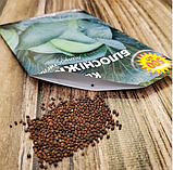 Насіння капусти білокачанної Білосніжка, фото 6