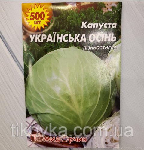 Насіння капусти сорт Українська Осінь Пізньостиглий 500 шт, фото 1