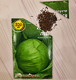 Насіння капусти білокачанної Леся, фото 4