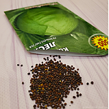 Насіння капусти білокачанної Леся, фото 5