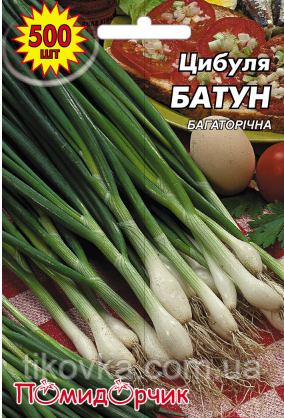 Насіння цибулі сорт Батун Середньостиглий 500 шт, фото 1