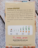Насіння цибулі Любчик, фото 2