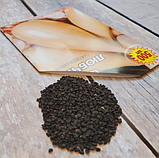 Насіння цибулі Любчик, фото 6