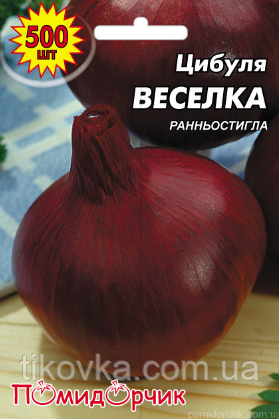Насіння цибулі сорт Райдуга Ранньостиглий 500 шт