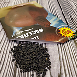 Насіння цибулі Радуга, фото 6