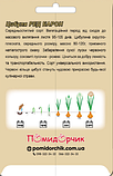Насіння цибулі сорт Ред Барон Середньостиглий 500 шт, фото 3