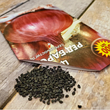 Насіння цибулі Ред барон, фото 6