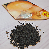 Насіння цибулі Глобус, фото 5