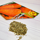 Насіння моркви Шантане, фото 6